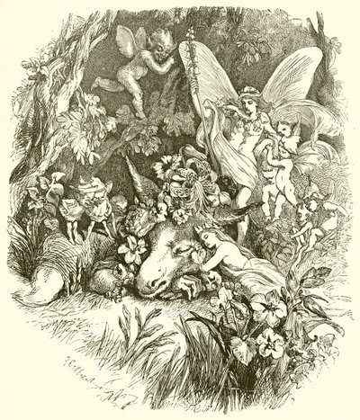 Sen noci svatojánské od John Gilbert