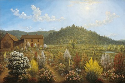 Pohled na umělcův dům a zahradu v Mills Plains, Van Diemen