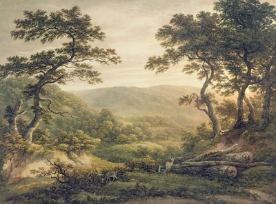 Needlewood Forest, Hampshire (akvarel na papíře) od John Glover