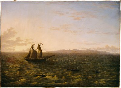 Ostrov Madeira od John Glover