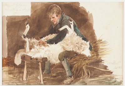 Stříhání ovcí, 1808 (wc na papíře) od John Harden