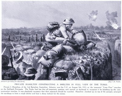 Vojín Hamilton staví úkryt před zraky Turků v zákopech Lone Pine na poloostrově Gallipoli srpen 1915 od John Harris Valda