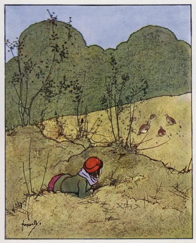 Koroptev (barva lito) od John Hassall