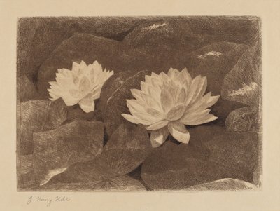 Lekníny od John Henry Hill