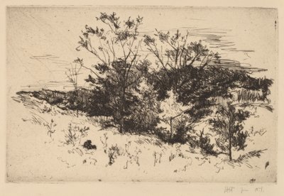 Podzimní Avondale od John Henry Twachtman