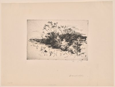 Podzimní krajina od John Henry Twachtman