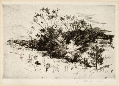 Krajina poblíž Cincinnati od John Henry Twachtman