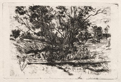 Krajina poblíž Cincinnati od John Henry Twachtman