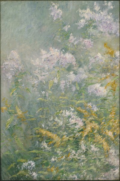 Luční květiny (zlatý prut a divoká astra) od John Henry Twachtman