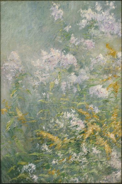 Luční květy (zlatý prut a divoká hvězdnice), kolem roku 1892 (olej na plátně) od John Henry Twachtman