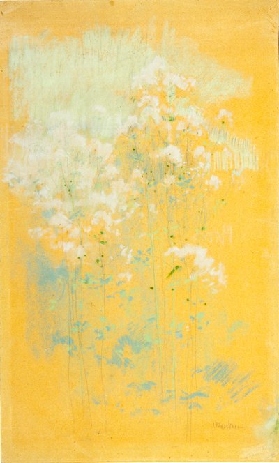 Divoké květiny od John Henry Twachtman