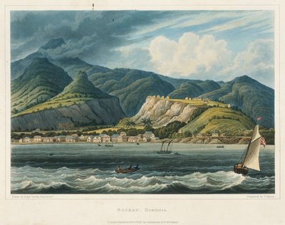 Město Roseau, Dominique (Caraibes). Litografie (32,2x46,6 cm), autor: poručík John Herbert Caddy (1801-1883) od John Herbert Caddy