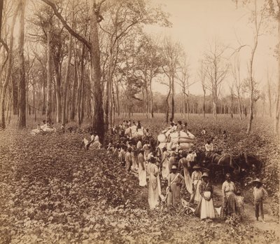 12 hodin v umrtvení, ca. 1891. od John Horgan
