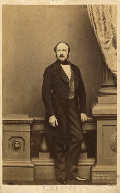 Princ Consort. [František Karel August Emanuel Albert, princ sasko-kobursko-gothajský] od John Jabez Edwin Mayall