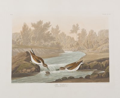 Ilustrace z 