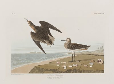 Ilustrace z 