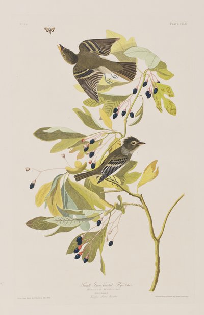 Ilustrace z 