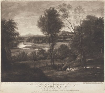 Pohled na Petersham & Twickenham Meadows z Richmond Hill od John Jones