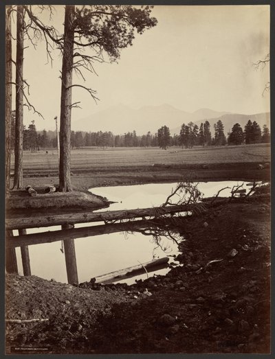  od John K. Hillers