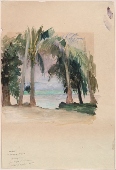 Palmy u moře od John La Farge