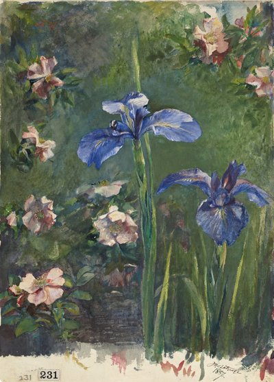 Divoké růže a kosatce, 1887. od John La Farge