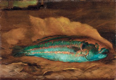 Studie papouščích ryb, Samoa, 1890 od John La Farge or Lafarge