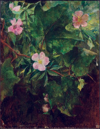 Divoká růže a vinná réva, Studie z přírody, 1871 od John La Farge or Lafarge
