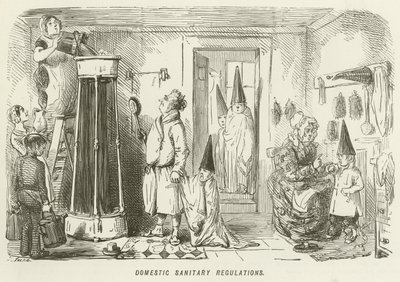 Domácí hygienické předpisy od John Leech