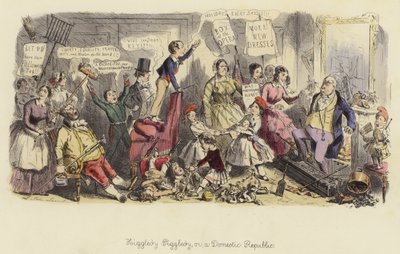 Higgledy-Piggledy neboli domácí republika od John Leech