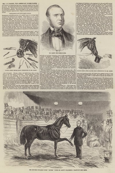 Pan J. S. Rarey, americký krotitel koní od John Leech