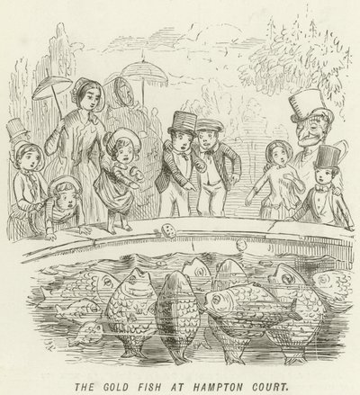 Zlatá rybka v Hampton Court od John Leech
