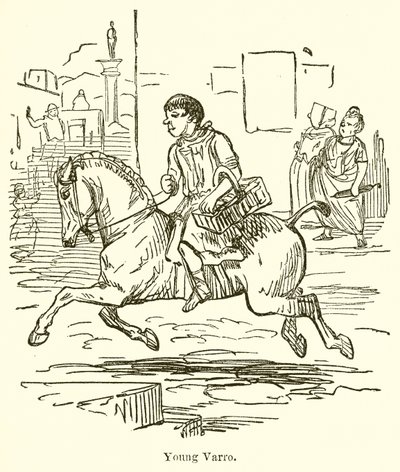 Mladý Varro od John Leech