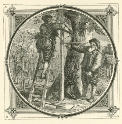 Větve mohou být trénované, ale ne kmen (rytí) od John Leighton