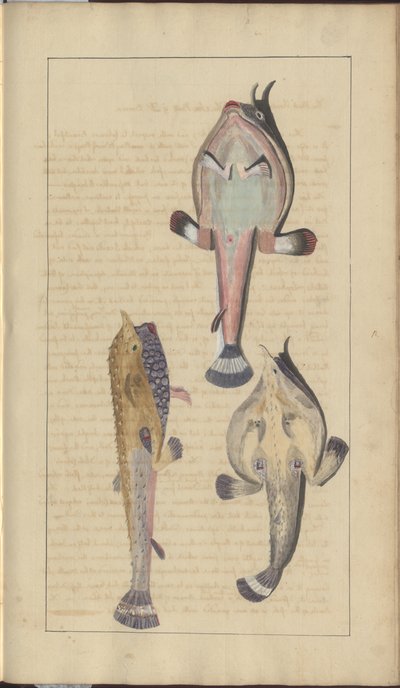 Lindsay Drawings Vol. VII, 27 od John Lindsay