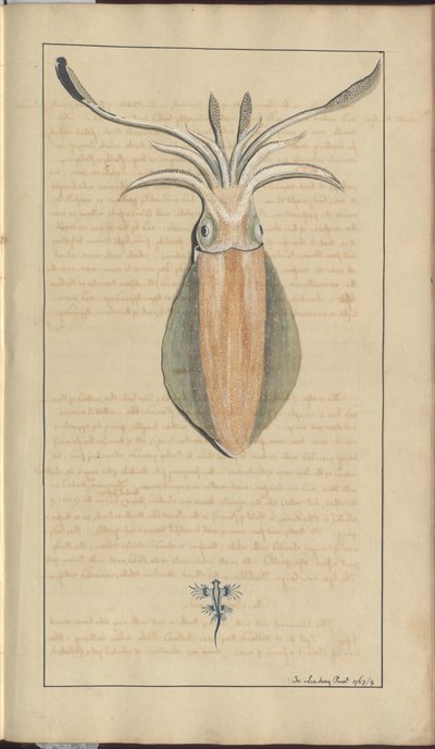 Lindsay Drawings Vol. VII, 29 od John Lindsay