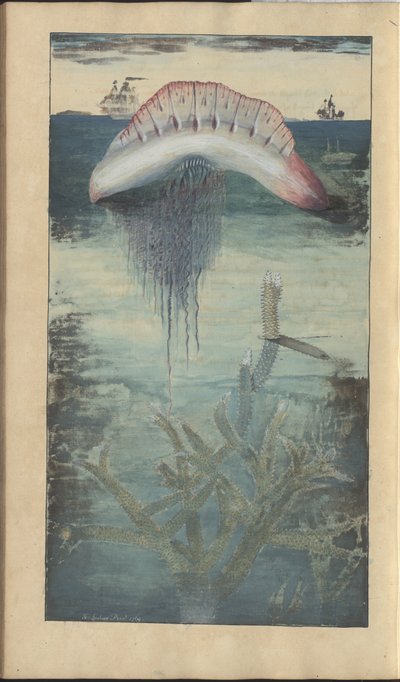 Lindsay Drawings Vol. VII, 30 od John Lindsay