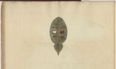 Lindsay Drawings Vol. VII, 3 od John Lindsay
