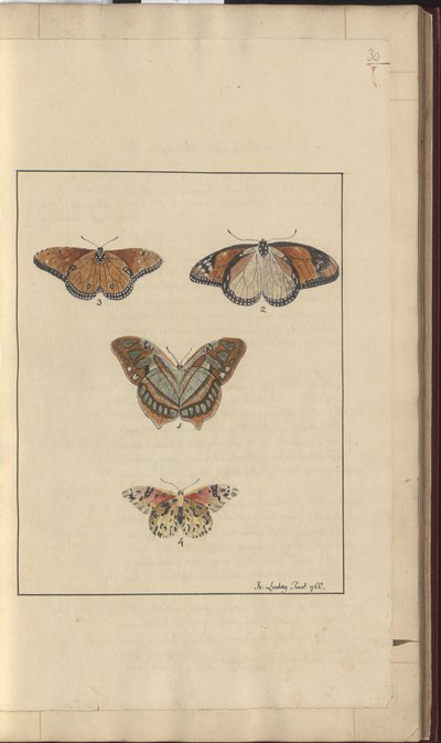 Lindsay Drawings Vol. VI, 30 od John Lindsay