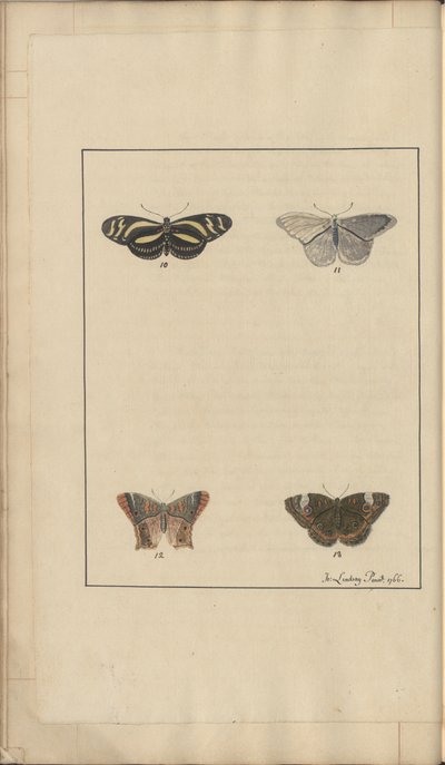 Lindsay Drawings Vol. VI, 35 od John Lindsay