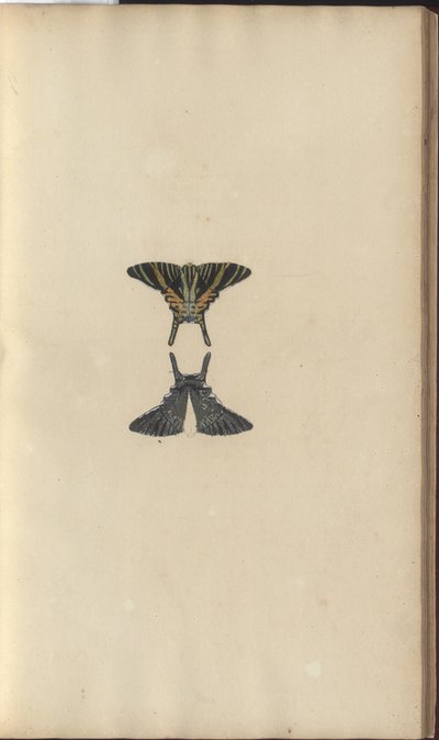 Lindsay Drawings Vol. VI, 48 od John Lindsay