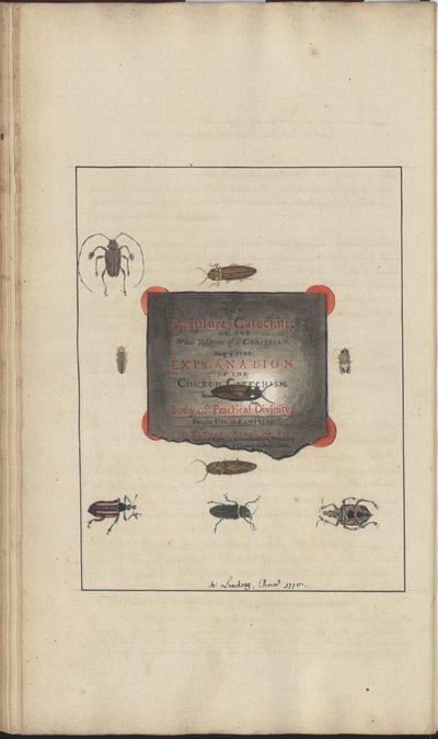 Lindsay Drawings Vol. VI, 95 od John Lindsay