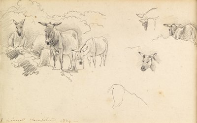 Osli, 1824 od John Linnell