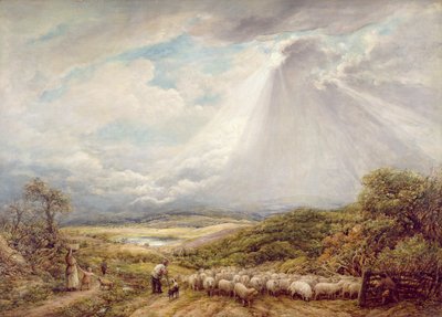 Řízení Hejna od John Linnell
