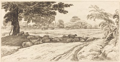 Ovce v poledne od John Linnell