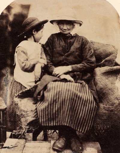 Sluhové v Rhagatt, Corwen, Severní Wales od John Lloyd