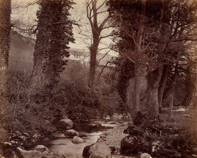 Bez názvu, c. 1859. od John Lloyd