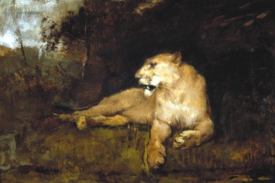 "Lvice", c1867-1910 od John Macallan Swan