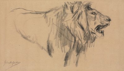 Lev. od John Macallan Swan