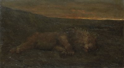 Spící lev v noci od John Macallan Swan