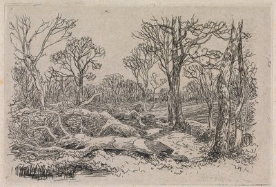 Potěšený dřevo, Burningham od John Middleton